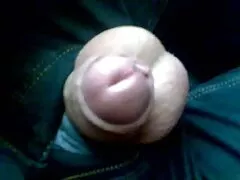 Hermafrodita muestra el mástil y el orgasmo