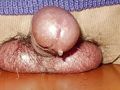 Titwank